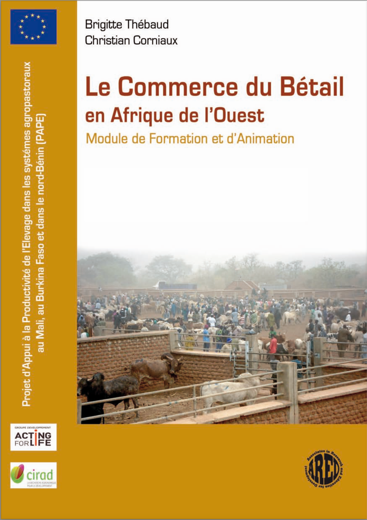 Aucune Image Disponible